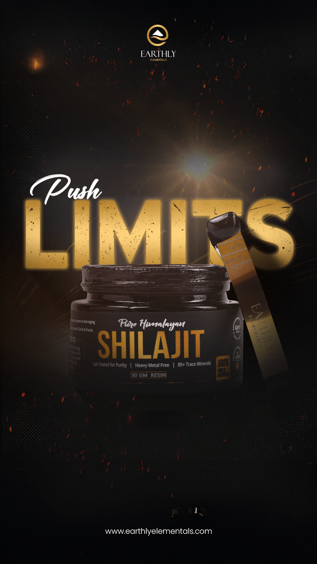 Pure Himalayan Shilajit | 85 Essential Minerals | 2 Month Supply - Earthly Elementals