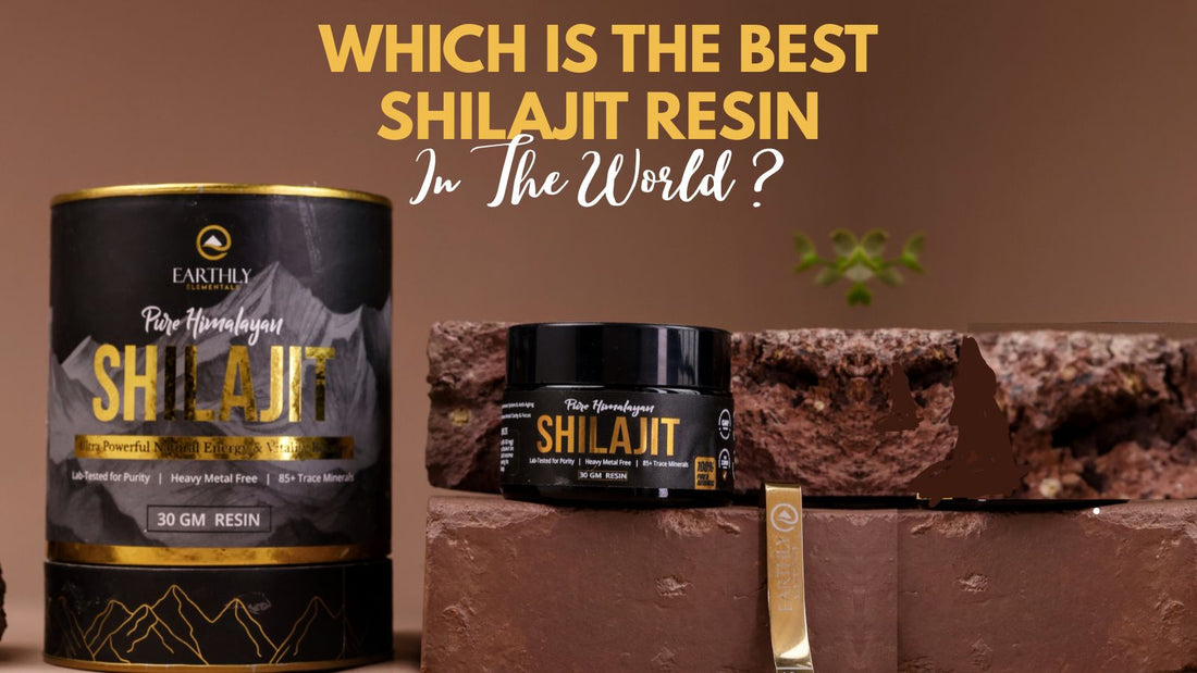 Best Shilajit Resin in the World? - Earthly Elementals