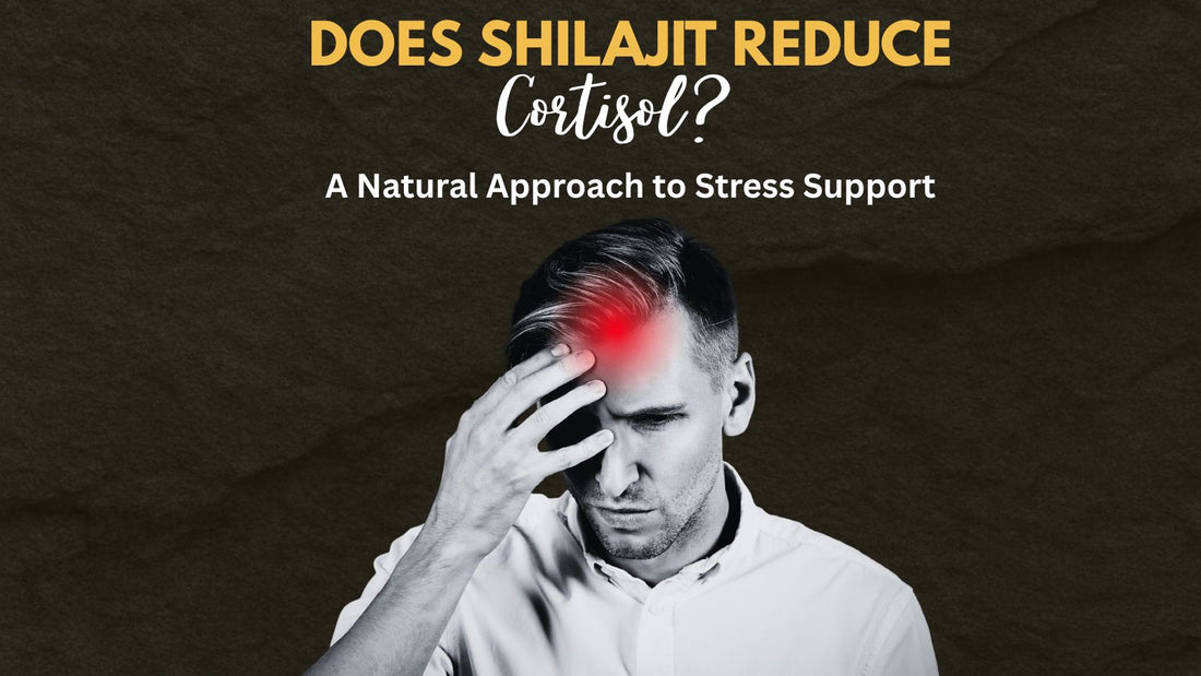 Does Shilajit Reduce Cortisol? - Earthly Elementals